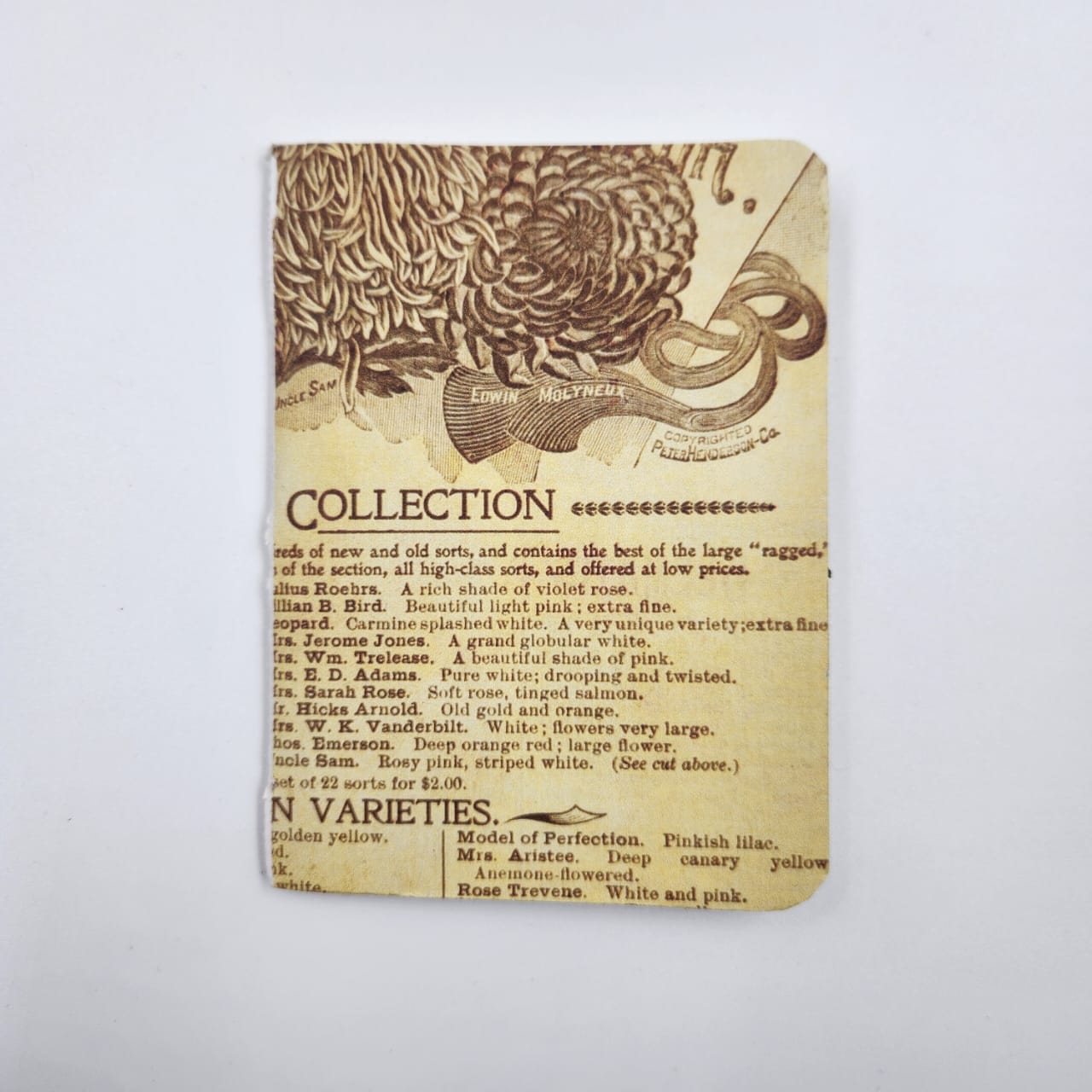 Collection Notebook